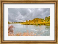 Snake River Autumn VI Fine Art Print