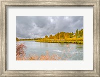 Snake River Autumn VI Fine Art Print