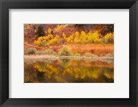 Autumn's Reflection Fine Art Print