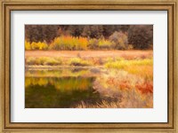 Autumn Pond Fine Art Print