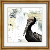Pelican Palm Fine Art Print