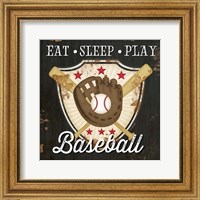 Eat, Sleep, Play, Baseball Fine Art Print