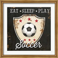 Eat, Sleep, Play, Soccer Fine Art Print