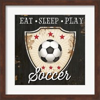 Eat, Sleep, Play, Soccer Fine Art Print