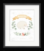 Sweet Little Hedgehog Framed Print