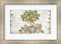 Lemon Topiary Fine Art Print