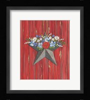 Barn Star Fine Art Print