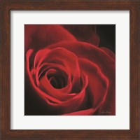 The Red Rose I Fine Art Print