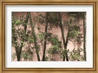 Bamboo on Blush Fine Art Print