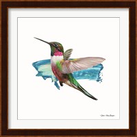 Hummingbird II Fine Art Print