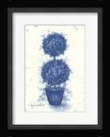 Blue Double Sphere Topiary Framed Print