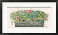Flowers & Succulents Fine Art Print