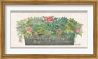 Flowers & Succulents Fine Art Print