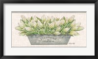 Flowers & Garden White Tulips Fine Art Print
