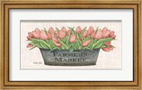 Farmer's Market Blush Tulips Fine Art Print