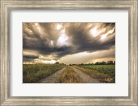 Embrace the Storm II Fine Art Print