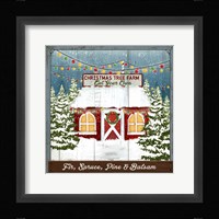 Christmas Tree Farm Fine Art Print