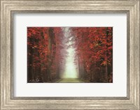 In Love with Red Fine Art Print
