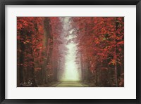 In Love with Red Fine Art Print