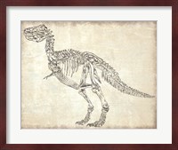 T-Rex Skeleton Fine Art Print