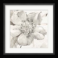 Indigold VI Gray Framed Print