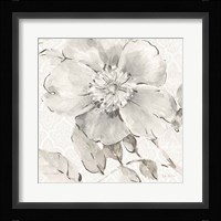 Indigold V Gray Framed Print