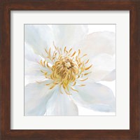Contemporary Clematis Gray Fine Art Print
