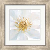 Contemporary Clematis Gray Fine Art Print