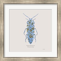 Adorning Coleoptera VIII Sq Blue Fine Art Print