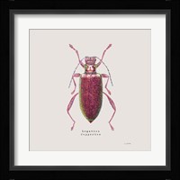 Adorning Coleoptera VI Sq Claret Fine Art Print