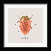 Adorning Coleoptera V Sq Camelia Fine Art Print