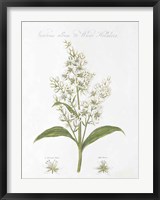Botany Book XI White Green Fine Art Print