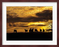 Horses at Sunset Fine Art Print