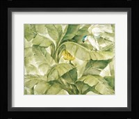 Tropical Canopy II Green Framed Print