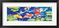 Koi Framed Print