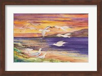Seagull Sunset Fine Art Print