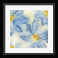 Tinted Clematis II Framed Print