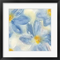 Tinted Clematis II Framed Print