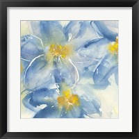 Tinted Clematis I Framed Print