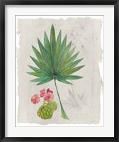 Botanical Journal II Light Fine Art Print