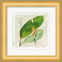 Botanical Study I Light Fine Art Print