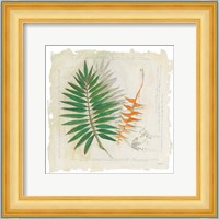 Botanical Study II Light Fine Art Print