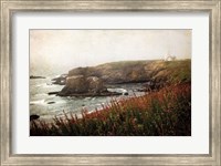 Coastal Mist Fine Art Print