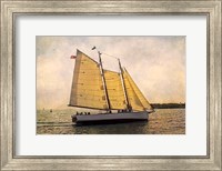 Morning Sail Fine Art Print