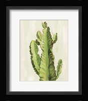 Front Yard Cactus II Framed Print