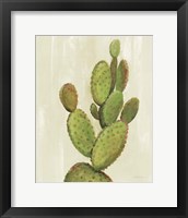 Front Yard Cactus I Fine Art Print