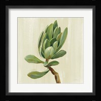 Front Yard Succulent III Fine Art Print