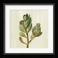 Front Yard Succulent II Framed Print