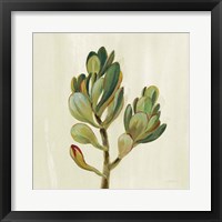 Front Yard Succulent II Framed Print