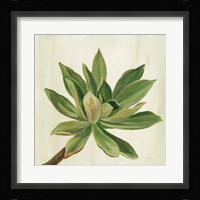 Front Yard Succulent I Framed Print